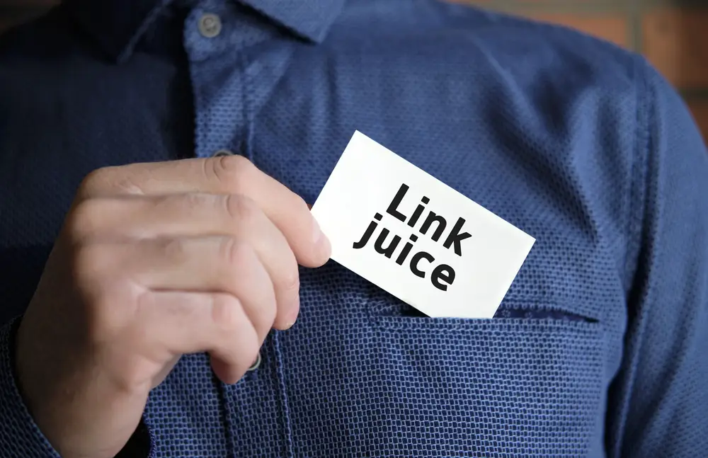 sfrutta il link juice in modo efficace
